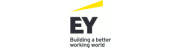 EY Corporate Solutions GmbH & Co. KG