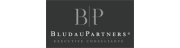 BludauPartners Executive Consultants GmbH
