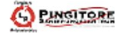 Pingitore Sanierung GmbH