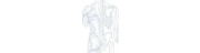Gemeinschaftspraxis Orthopädie & Unfallchirurgie Durlach