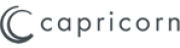 capricorn AUTOMOTIVE GmbH