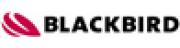 Blackbird Robotersysteme GmbH