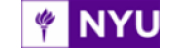 New York University Berlin