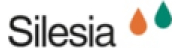 Silesia Gerhard Hanke GmbH & Co. KG