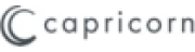capricorn AUTOMOTIVE GmbH