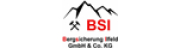 BSI Bergsicherung Ilfeld GmbH & Co.KG