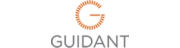 Guidant Smith Meter GmbH