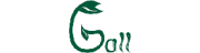 Ganzheitliche Physiotherapie Gall