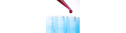 Gemeinschaftspraxis für Dermatologie und Dermatohistologie am Stachus GbR
