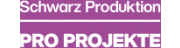 Pro Projekte GmbH & Co. KG