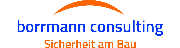 BORRMANN CONSULTING