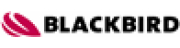Blackbird Robotersysteme GmbH