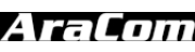 AraCom IT Services GmbH