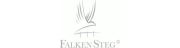 Falkensteg Holding GmbH & Co.KG