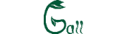 Ganzheitliche Physiotherapie Gall