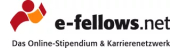 e-fellows.net GmbH & Co. KG