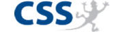 CSS